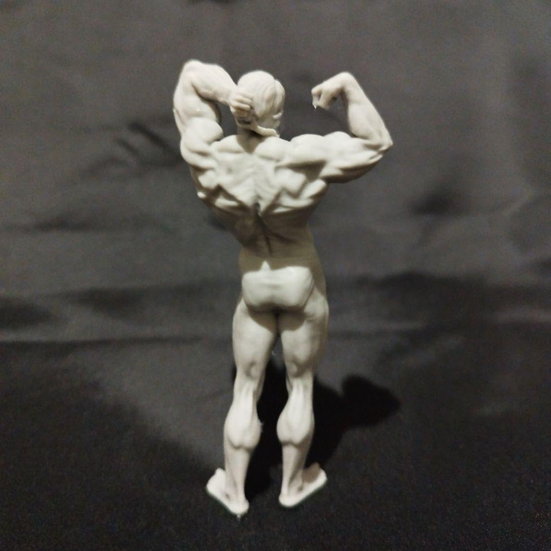 Amazon.co.jp: ボディビル 1 18フィギュア フィジーク 筋肉 : おもちゃ